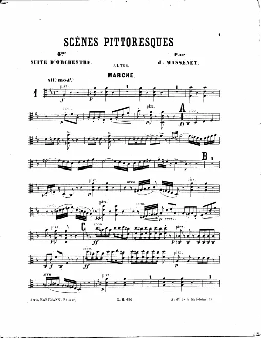 Violas