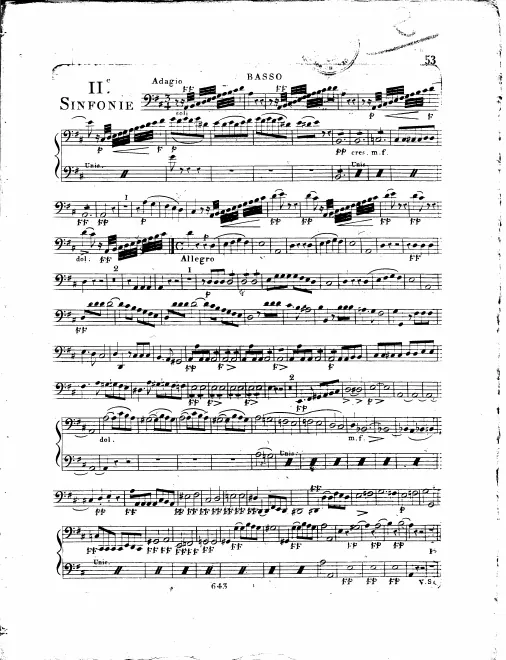 Cellos / Basses