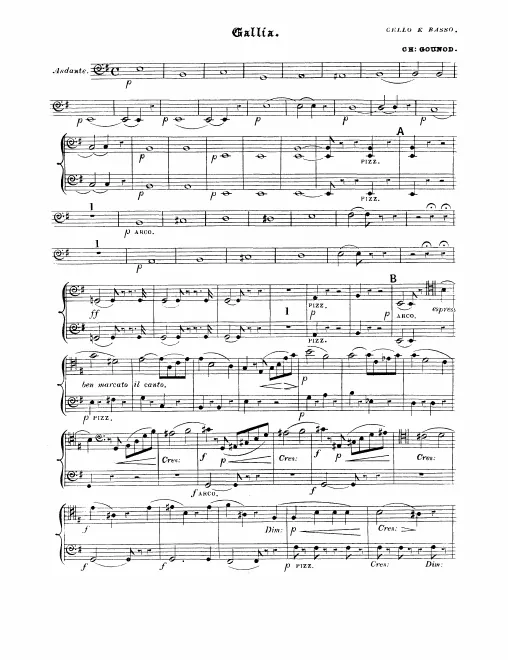 Cellos/Basses