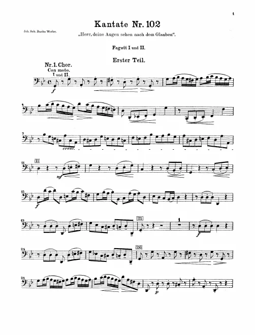 Bassoon 1/2