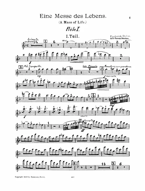 Flute 1/Piccolo