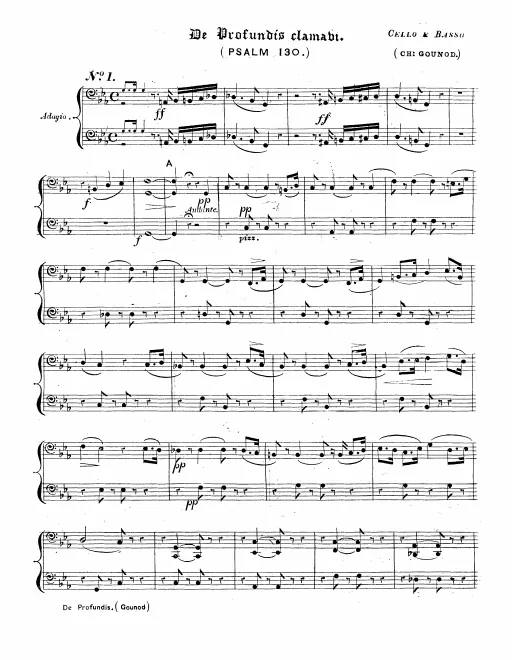 Cellos/Basses