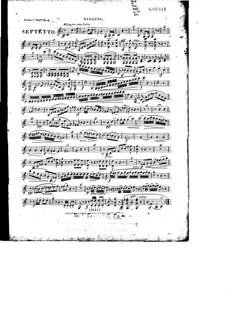 Violin