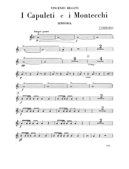 Snare Drum