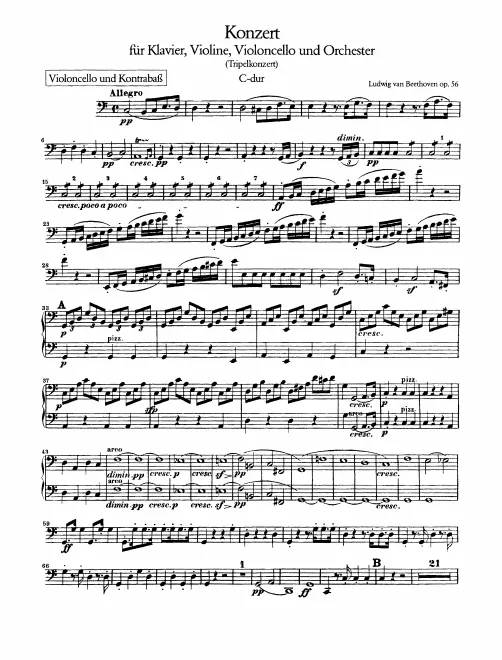 Cellos and Basses