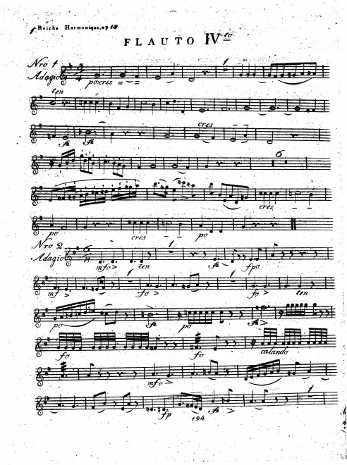 Flute 4