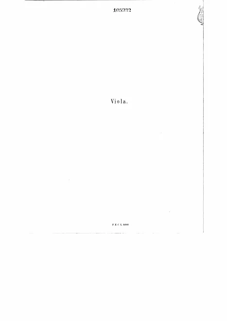 Viola