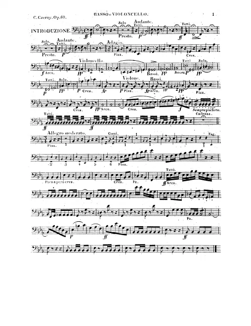 Cellos/Basses