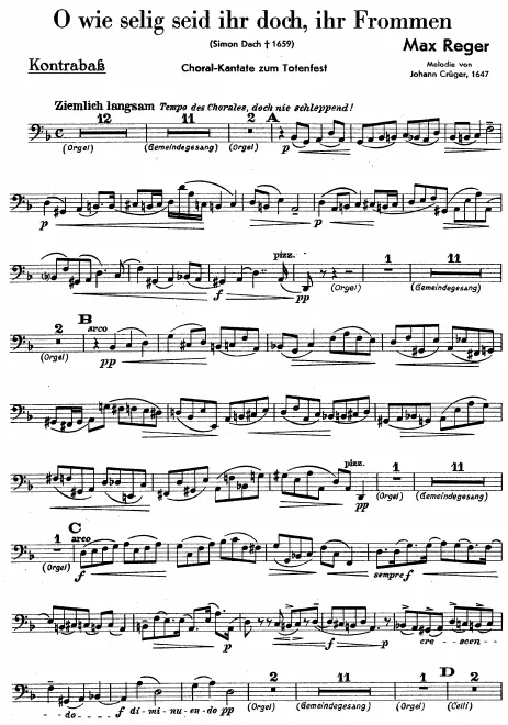 Bass