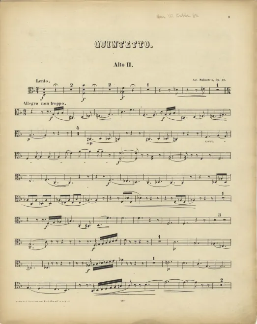 Viola 2