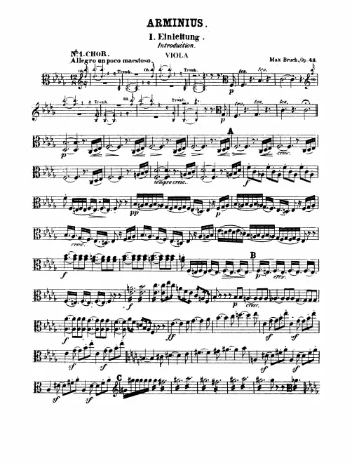 Violas