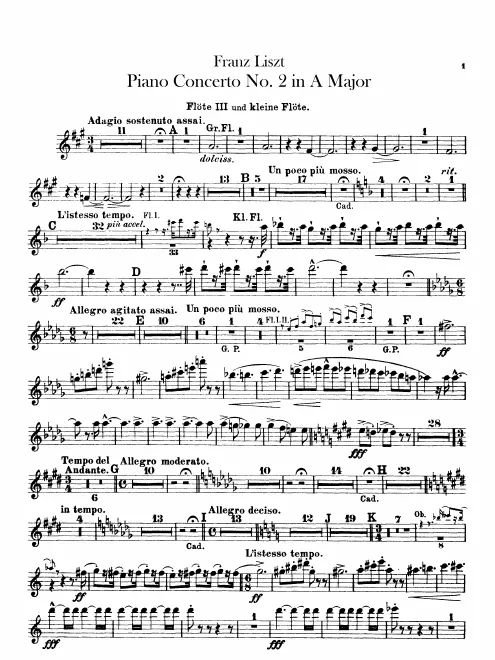 Flute 3/Piccolo