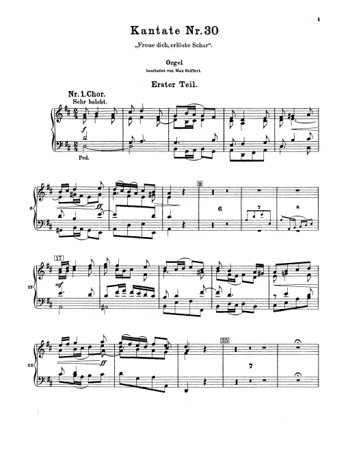 Organ