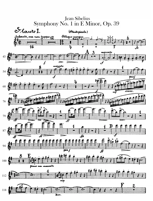 Flute/Piccolo 1
