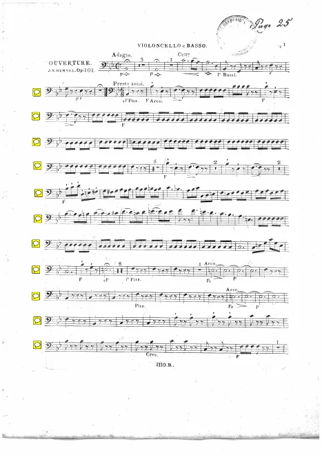 Cellos/Basses