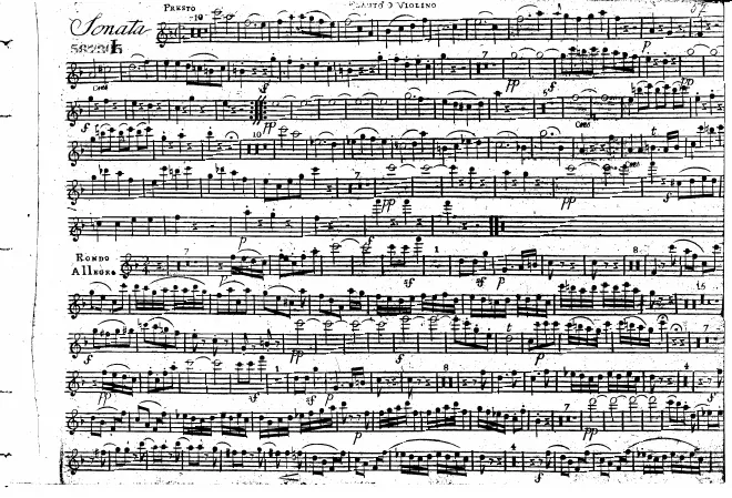 Flute or Violin