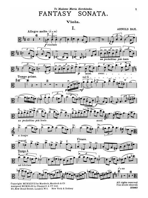 Viola