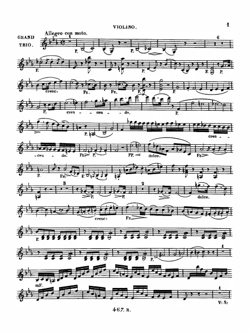 Violin