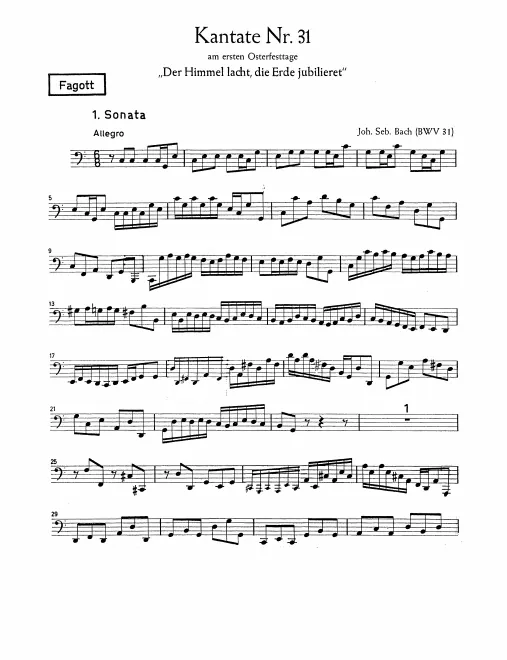 Bassoon