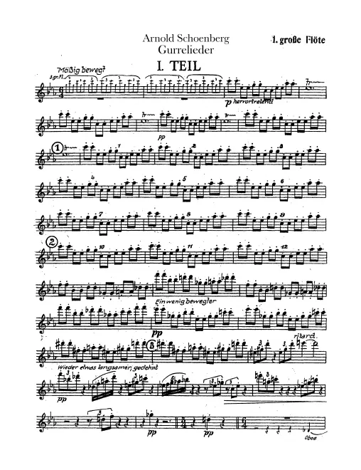 Flute 1