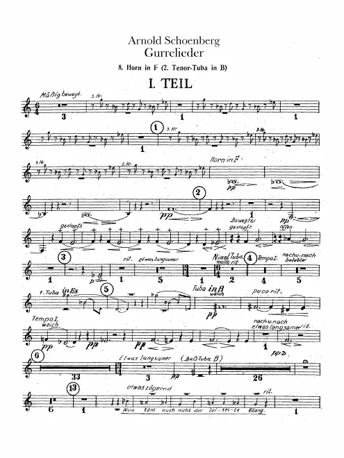 Horn 8 (F)/Tenor Wagner Tuba 2 (B♭)