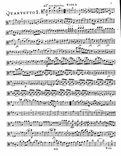 Viola