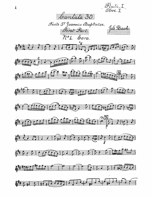 Flute 1