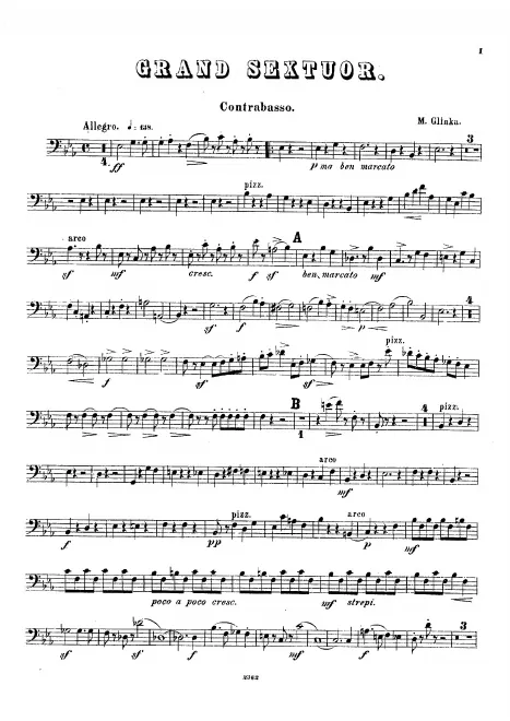 Double Bass
