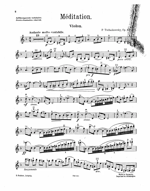 Violin