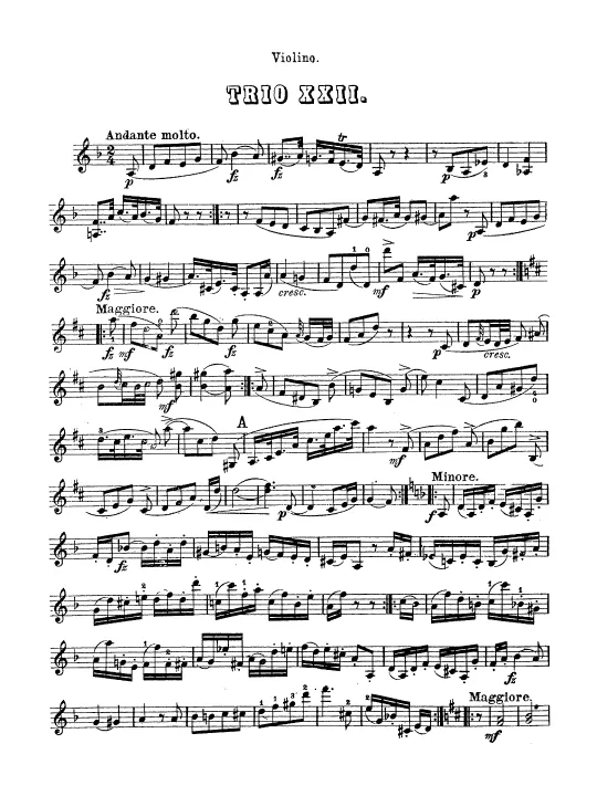 Violin
