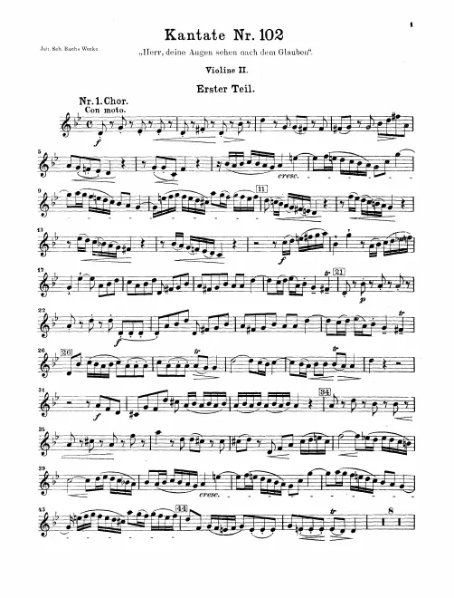 Violins II
