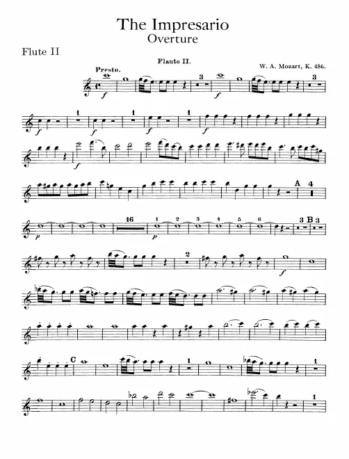 Flute 2