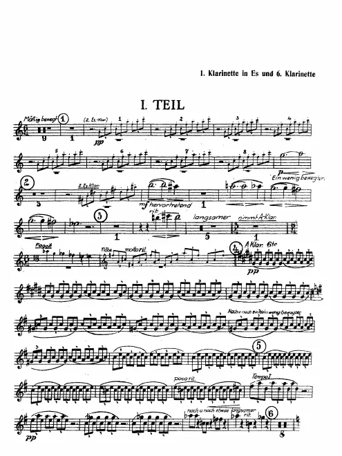 Clarinet 6 (A)/Piccolo Clarinet 1 (E)