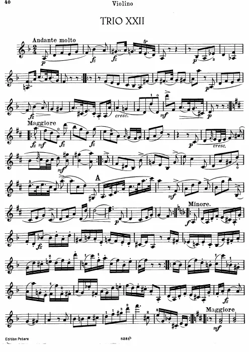Violin