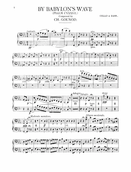 Cellos/Basses