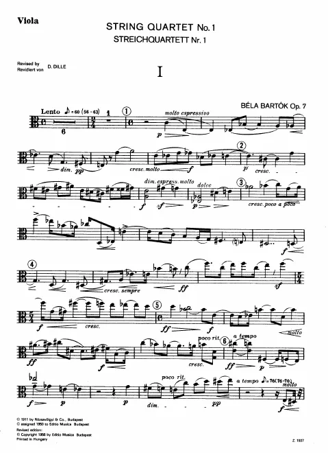 Viola