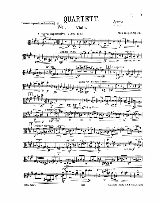 Viola