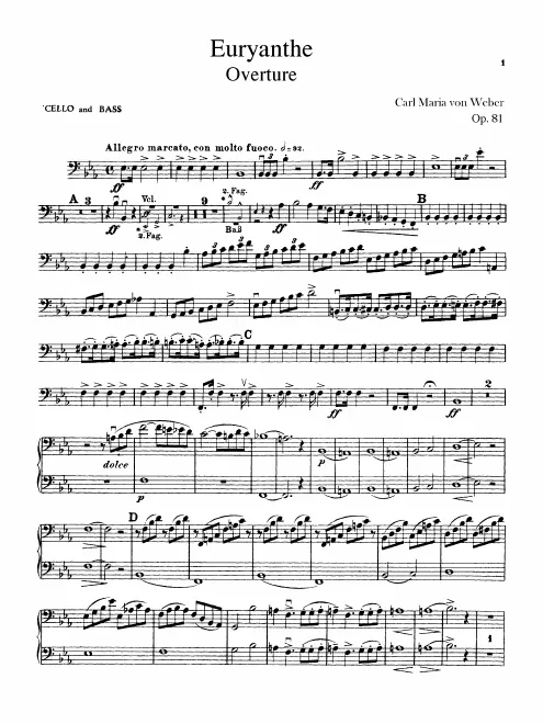 Cellos/Basses