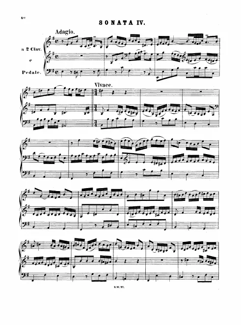 Sonata No.4 in E minor, BWV 528