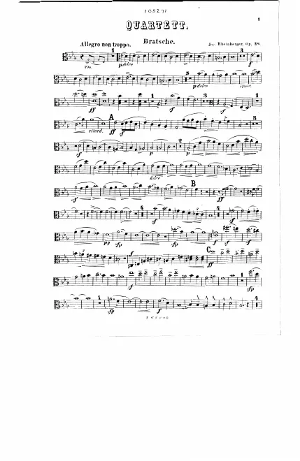 Viola