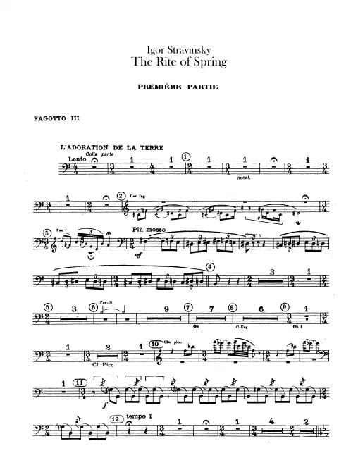 Bassoon 3