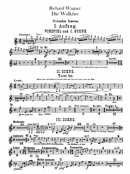 Bass Trumpet (C/D/E♭)