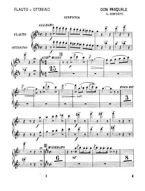 Flute 1/2 (also Piccolo)