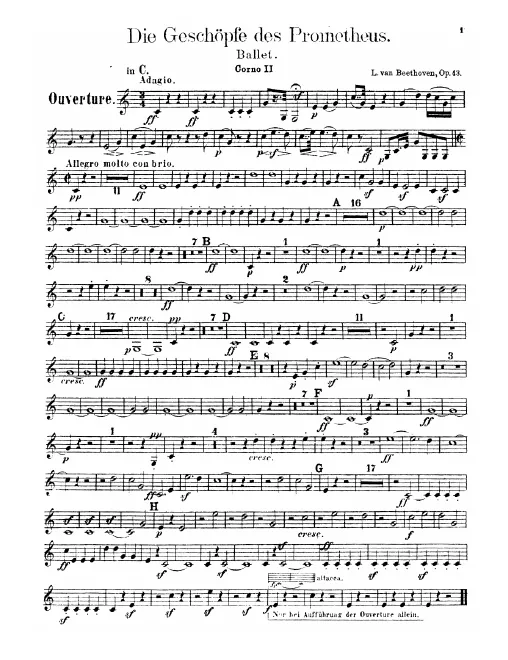 Horn 2 (C/F/B♭/G/D/E♭)