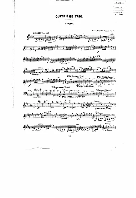 Violin