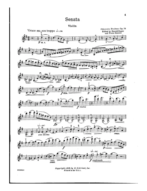 Violin