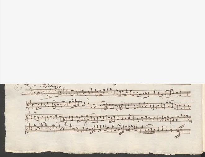 Viola