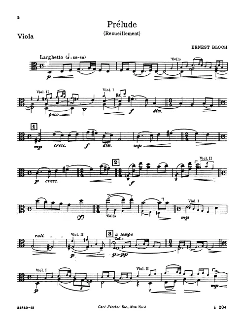 Viola