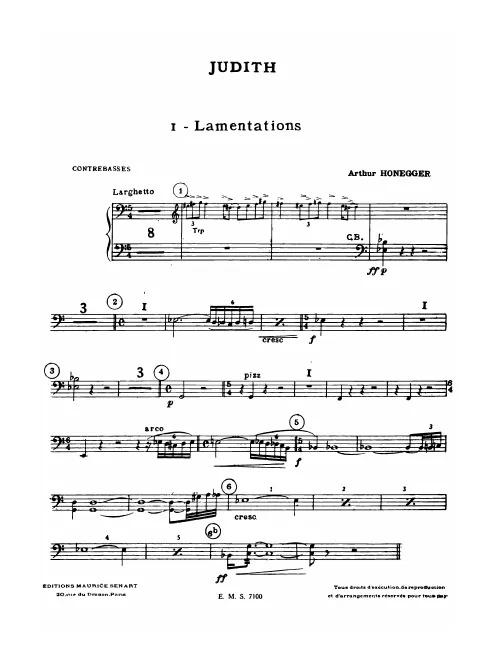 Double Basses