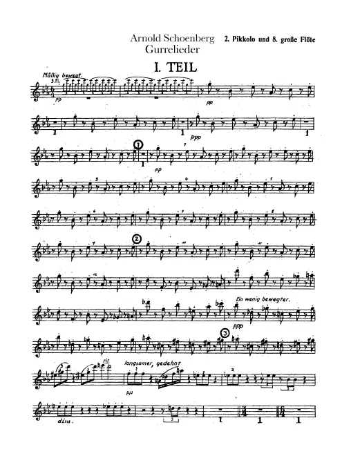 Flute 8/Piccolo 2